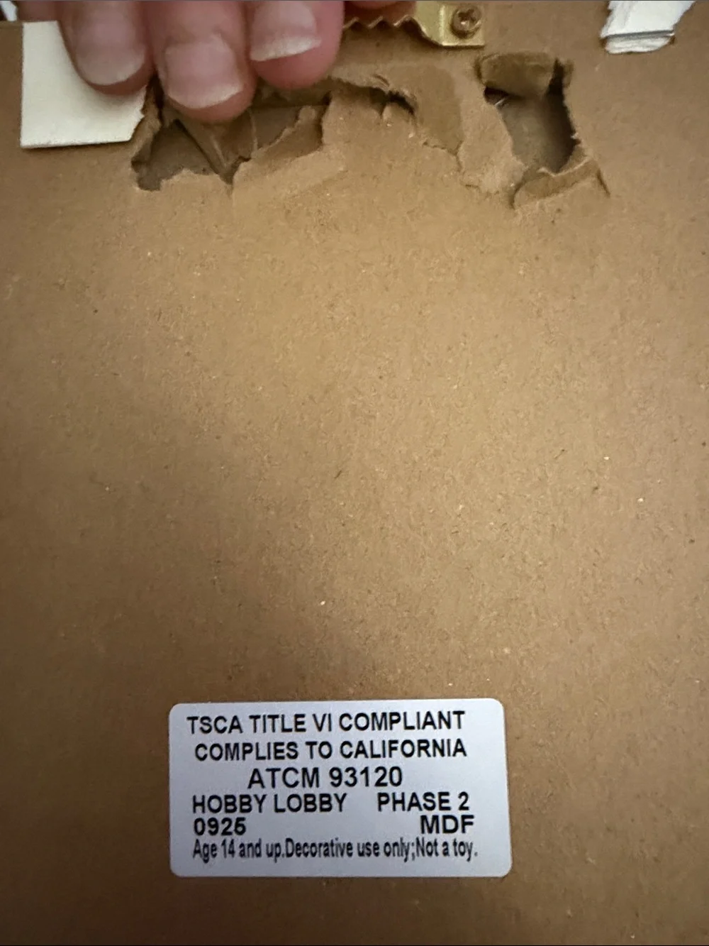 Hobby Lobby pair framed